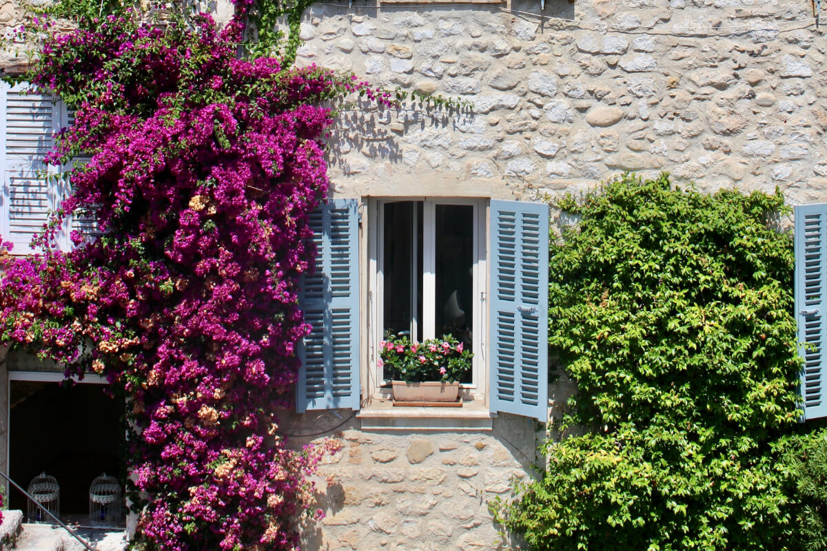 サンポール・ド・ヴァンスの家の窓と植物