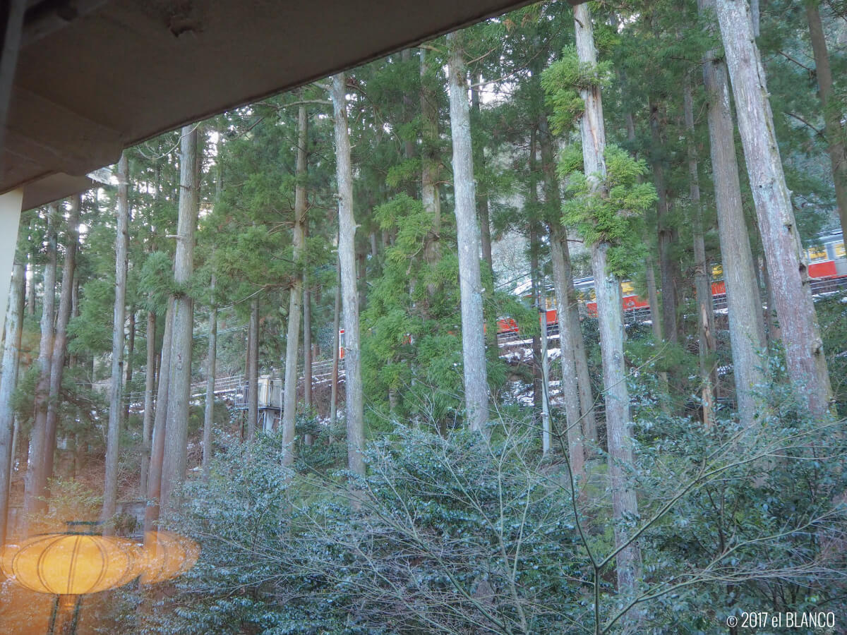 富士屋ホテルのフォレスト館からの風景
