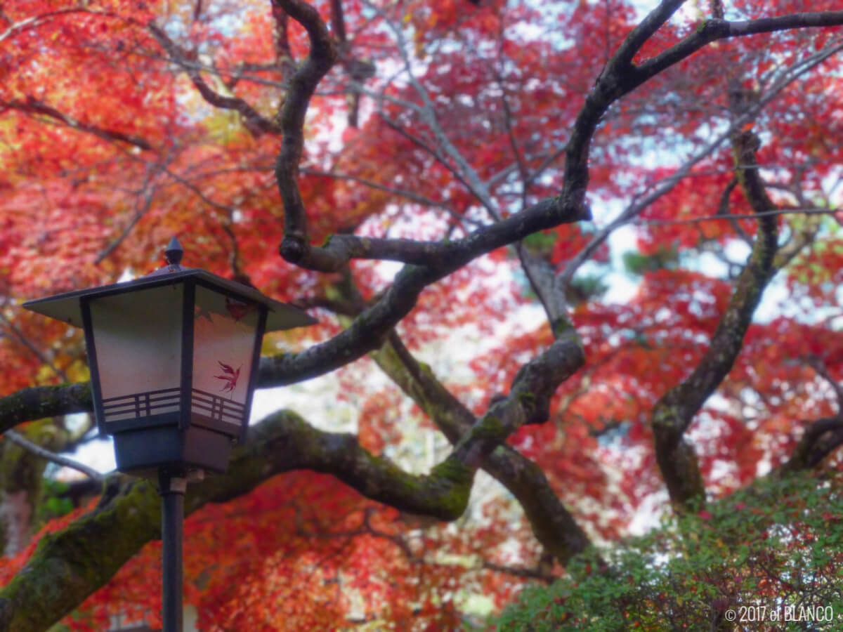 富士屋ホテルの庭園