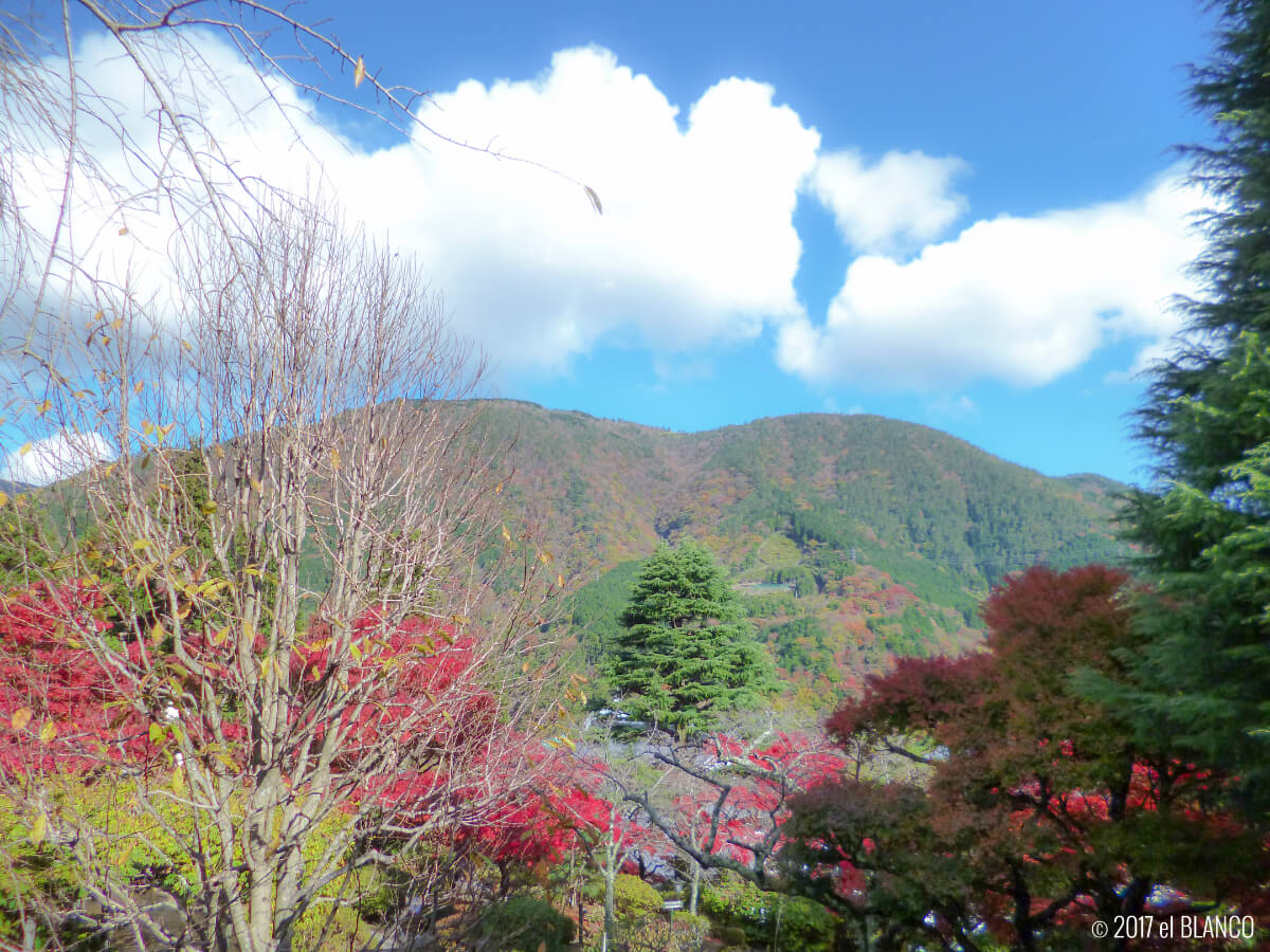 箱根の風景