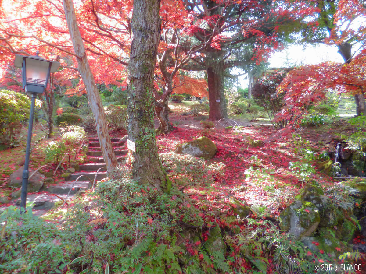 富士屋ホテルの庭園