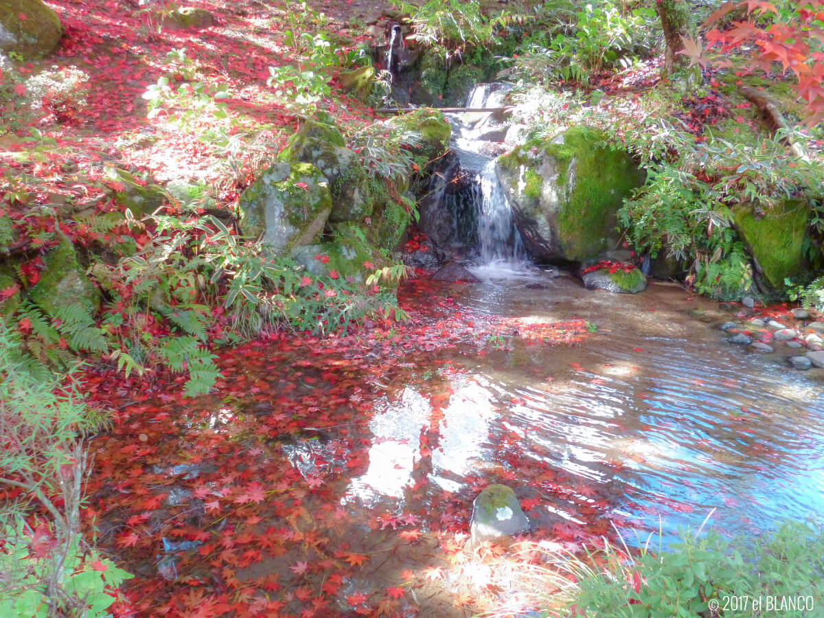 富士屋ホテルの庭園