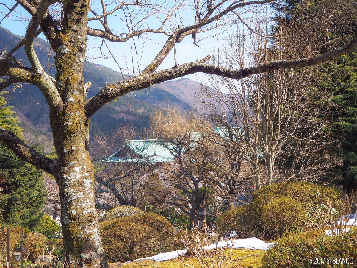 富士屋ホテルの庭園