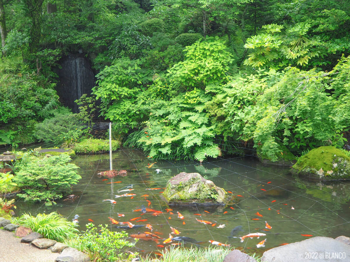 富士屋ホテルの庭園