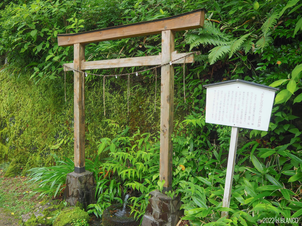 富士屋ホテルの日本庭園