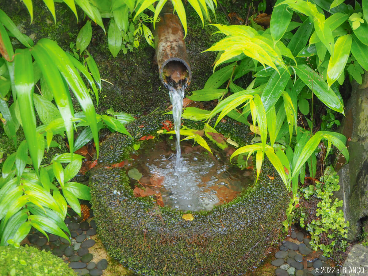 富士屋ホテルの日本庭園の井戸