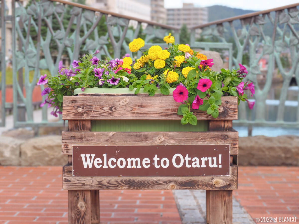 小樽運河の花壇