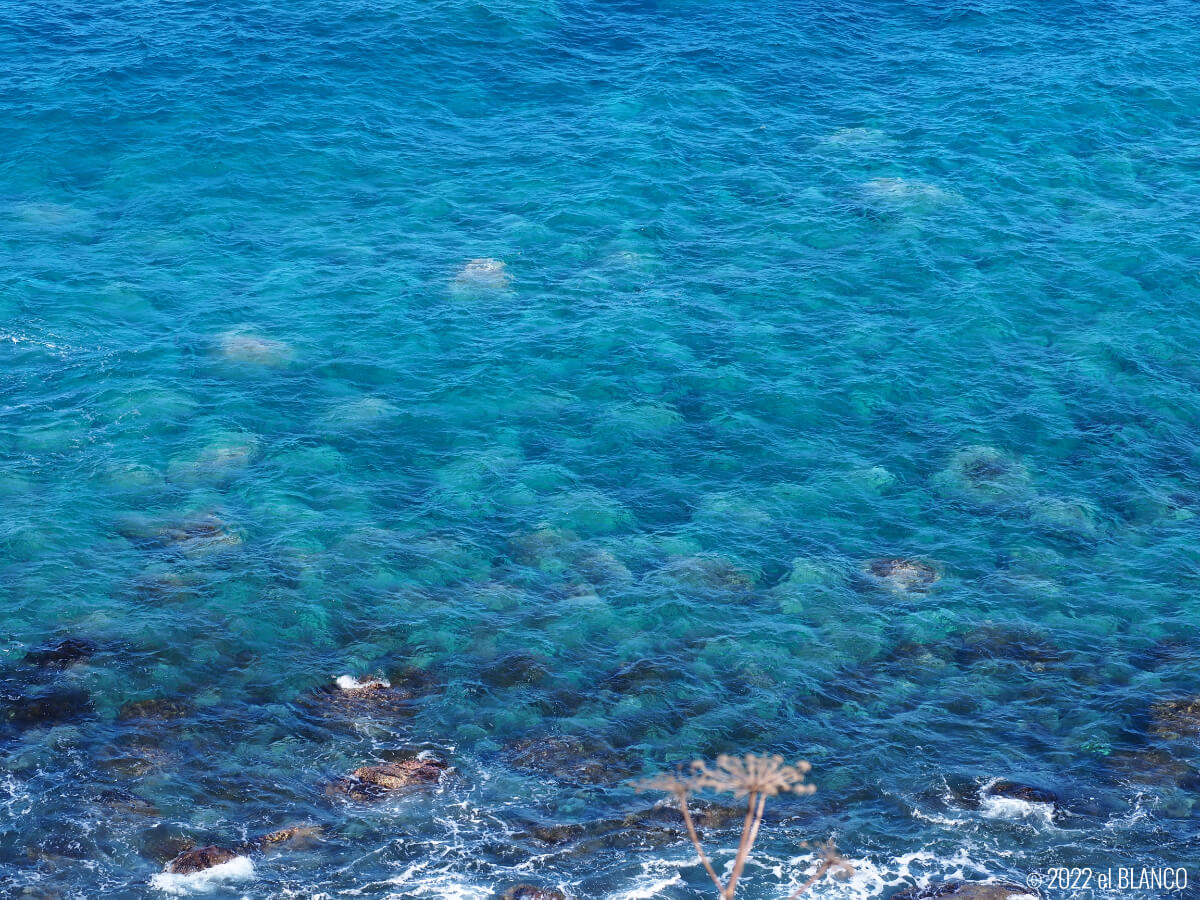 神威岬の海