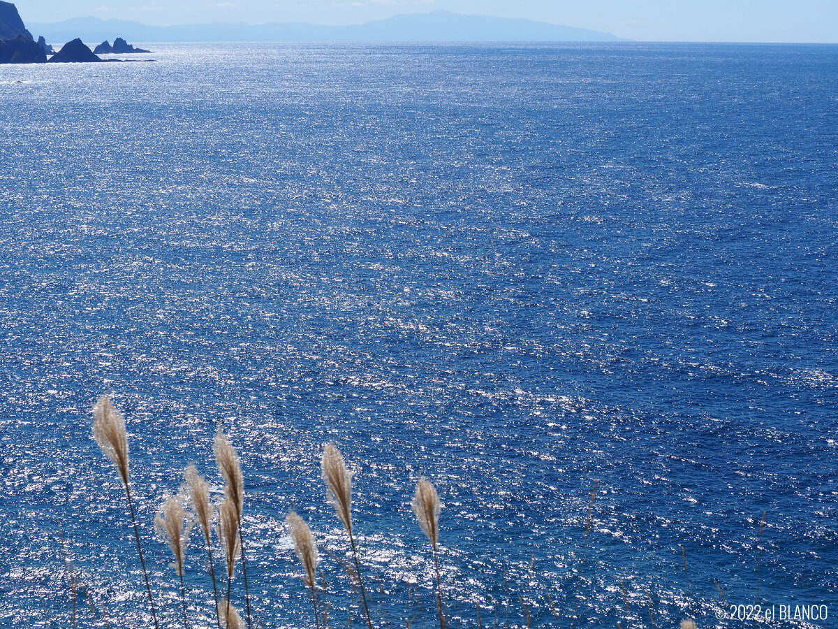 神威岬の海