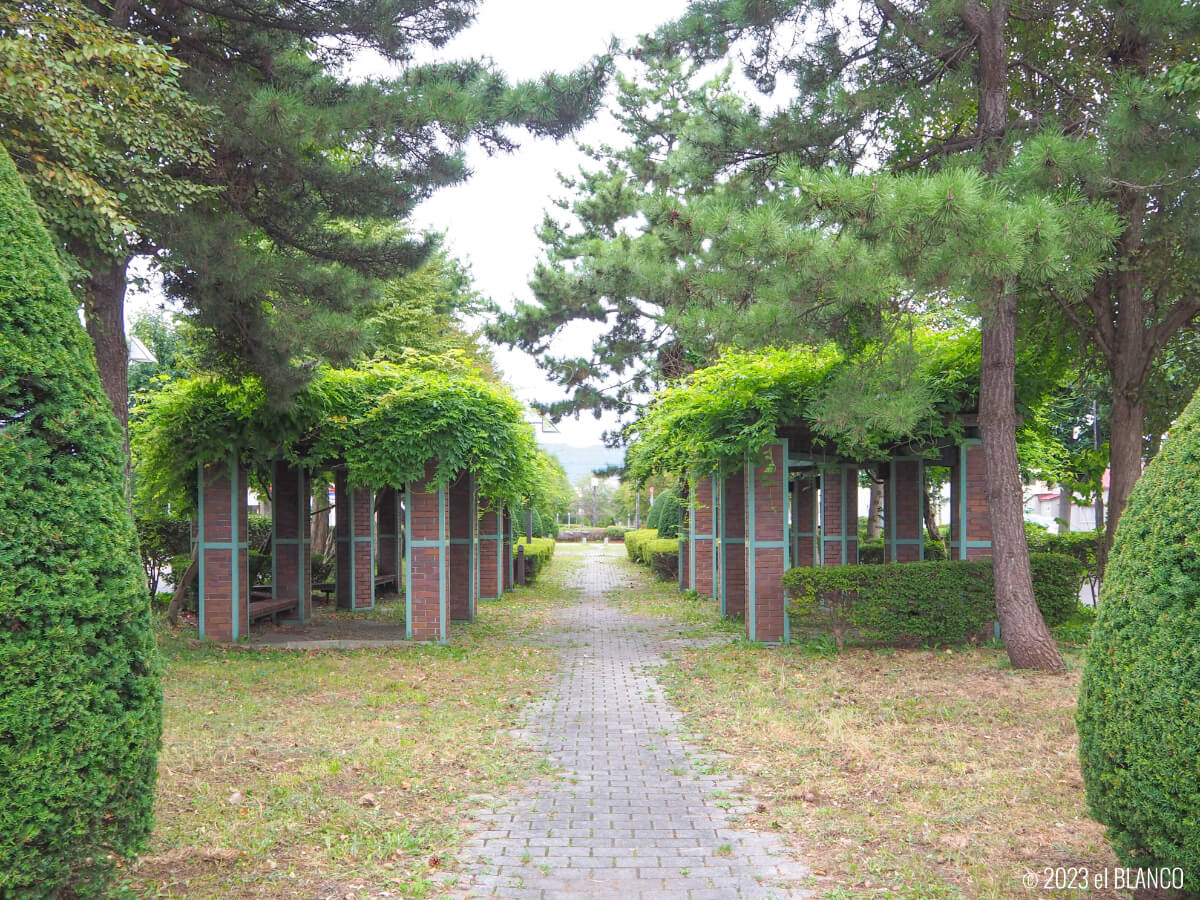 函館の緑道