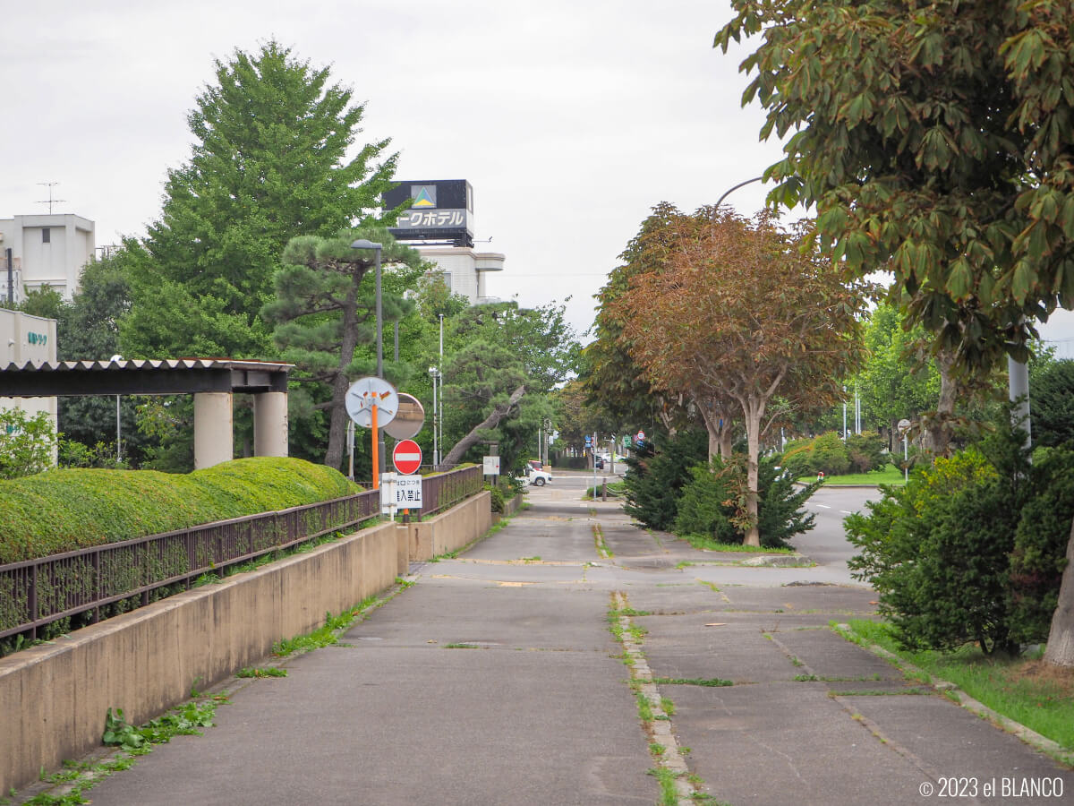 函館の新川広路の歩道